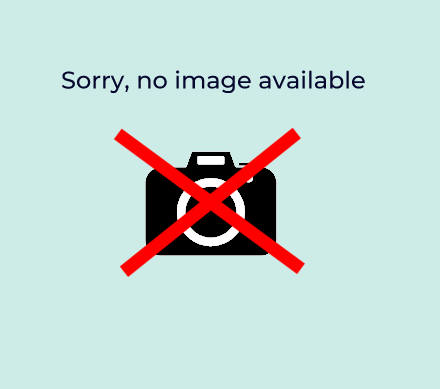 Speedypress Replacement board cover for Speedypress R02036 Rotary Iron â€“ Spare Parts