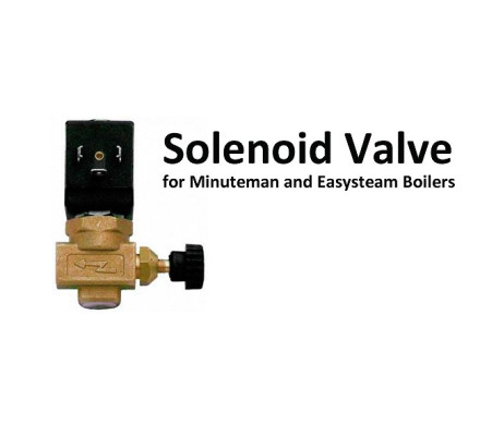 EasySteam Solenoid Valve for Minuteman and Easysteam Boiler – Commercial Steam Boiler & Iron â€“ Parts for Irons and Boilers