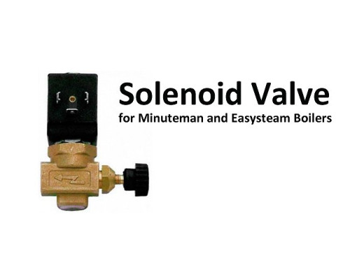 EasySteam Solenoid Valve for Minuteman and Easysteam Boiler – Commercial Steam Boiler & Iron